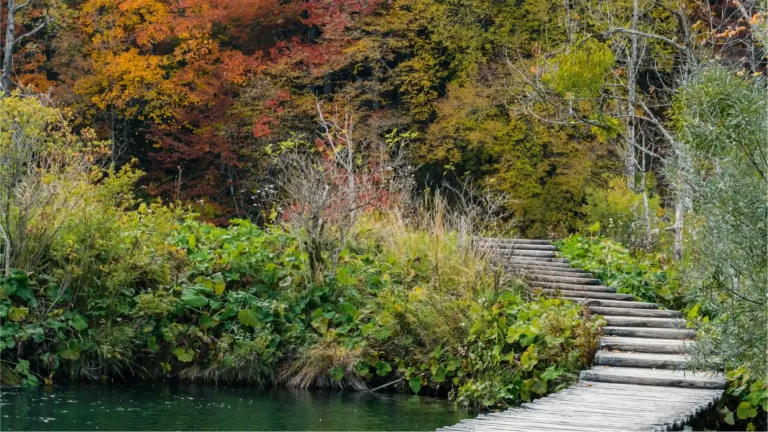 Drvena staza u Nacionalnom parku Plitvička jezera u Hrvatskoj u jesen
