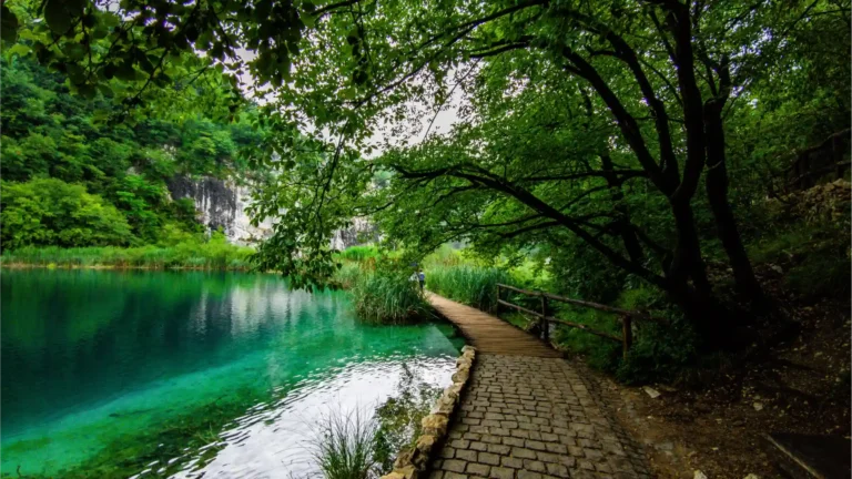 Slikoviti rezervat šumskog područja Nacionalnog parka Plitvička jezera u središnjoj Hrvatsko