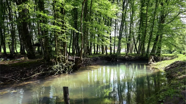 Baraćeve špilje-foto Patricia Rubčić