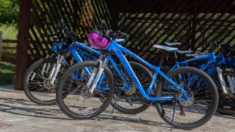 Guest House Rustico 28