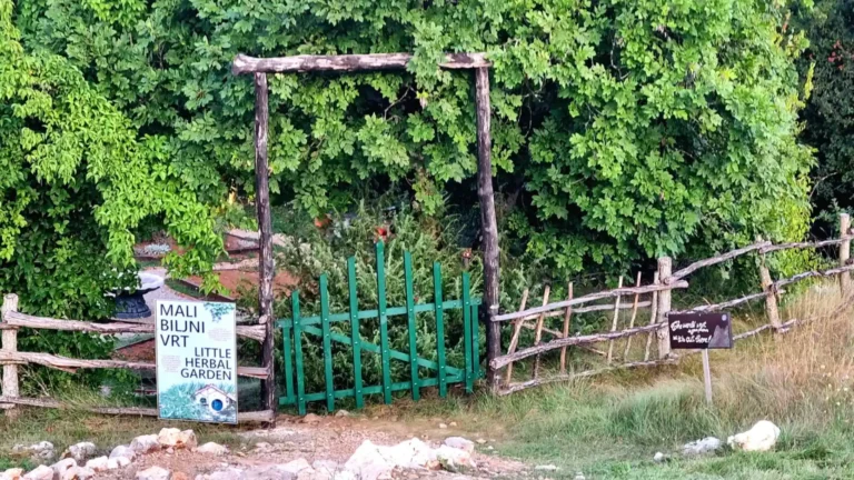 Pećinski park Grabovača - biljni vrt