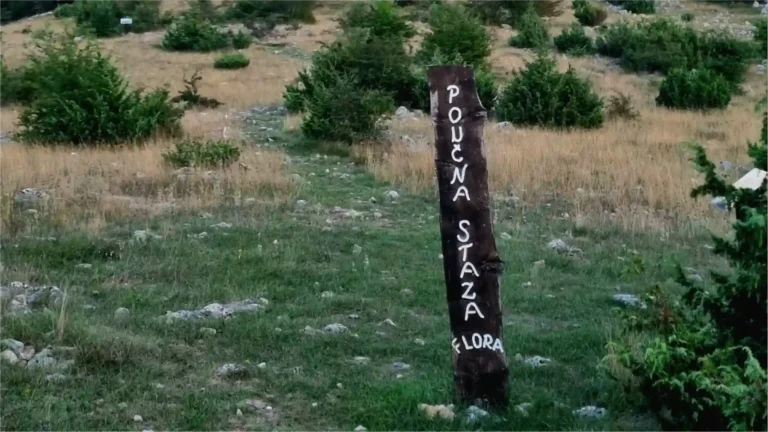 Pećinski park Grabovača - poučna staza