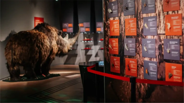 Speleon-foto Krešo Šarić